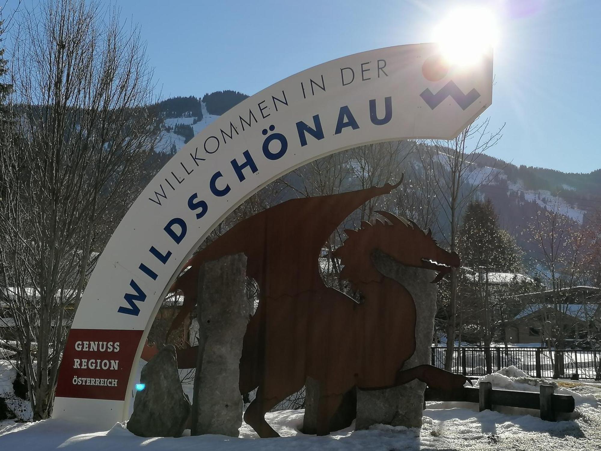Ferienwohnung Schoners Einfanghof WILD006 Niederau Exterior foto